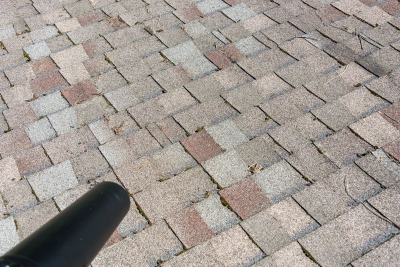 Asphalt Roof Cleaning