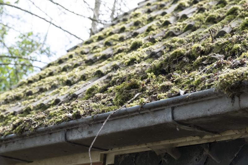 Commercial Roof Moss Removal