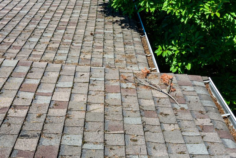 Asphalt Shingles Cleaning detail