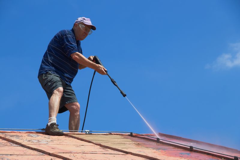 Metal Roof Cleaning detail