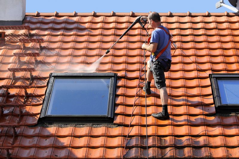 Roof Cleaning detail