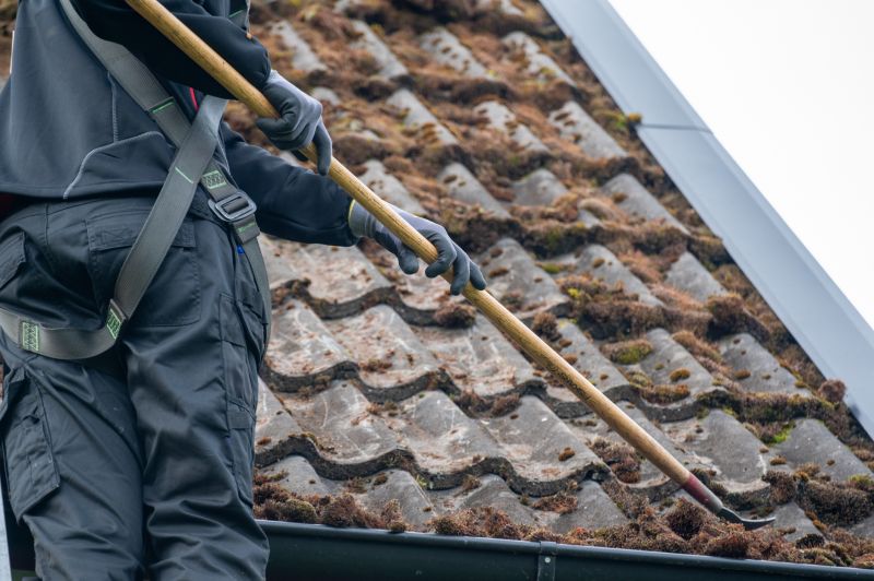 Roof Mildew Removal detail