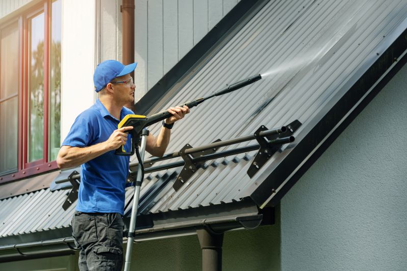 Roof Mildew Removal detail