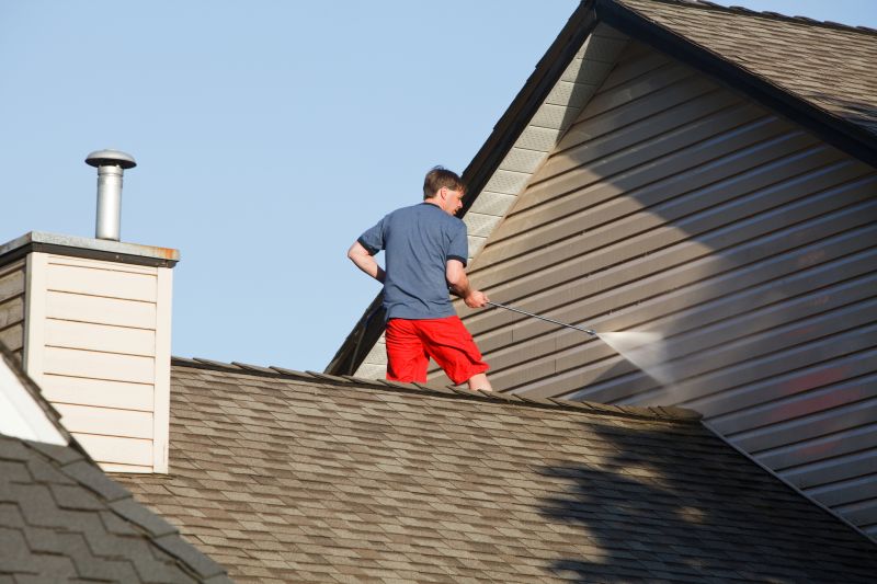 Garage Roof Washing