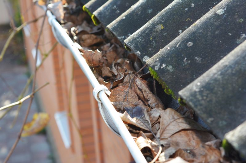 Gutter Debris Removal