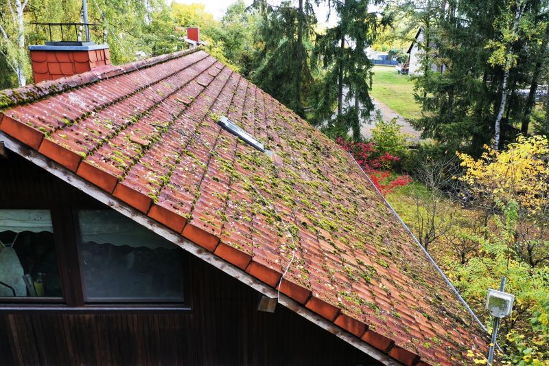 How Roof Cleaning Helps Prevent Mold, Algae, And Moss Growth