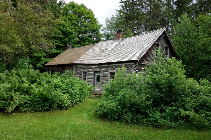 Log Cabin Roof Cleaning