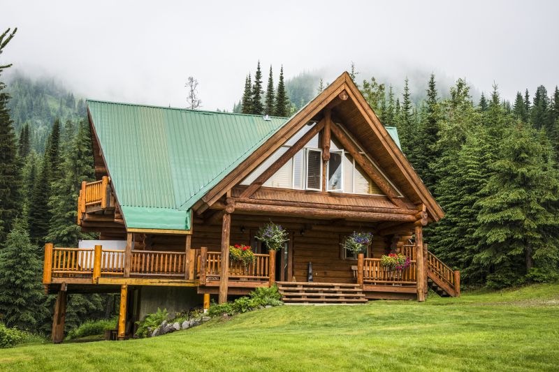 Log Cabin Roof Cleaning