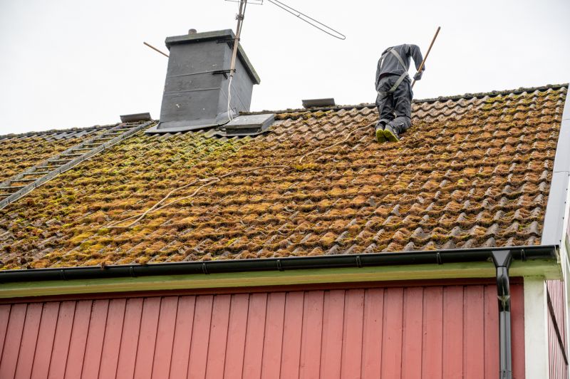 Moss Removal from Roof Surface