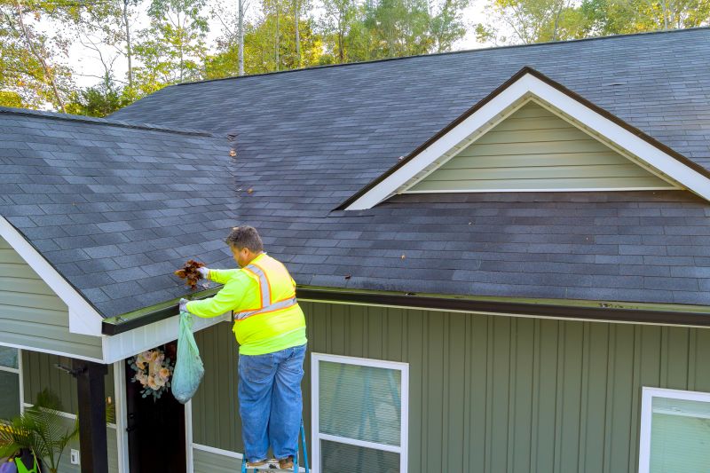 Clean Roof with No Debris