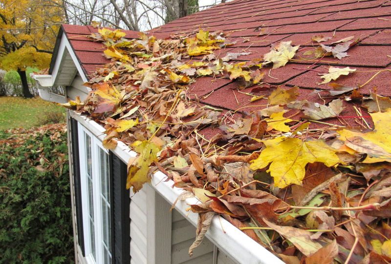 Fall Roof Maintenance