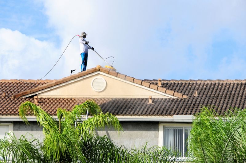 Roof Mildew Cleaning