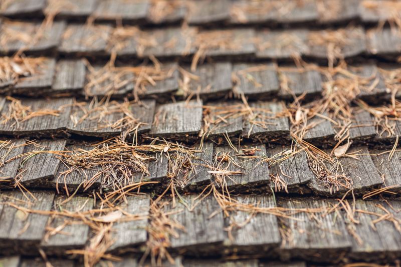 Roof Pine Cone Removal