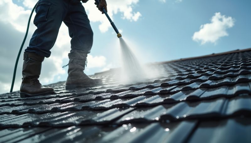 Roof Soft Washing