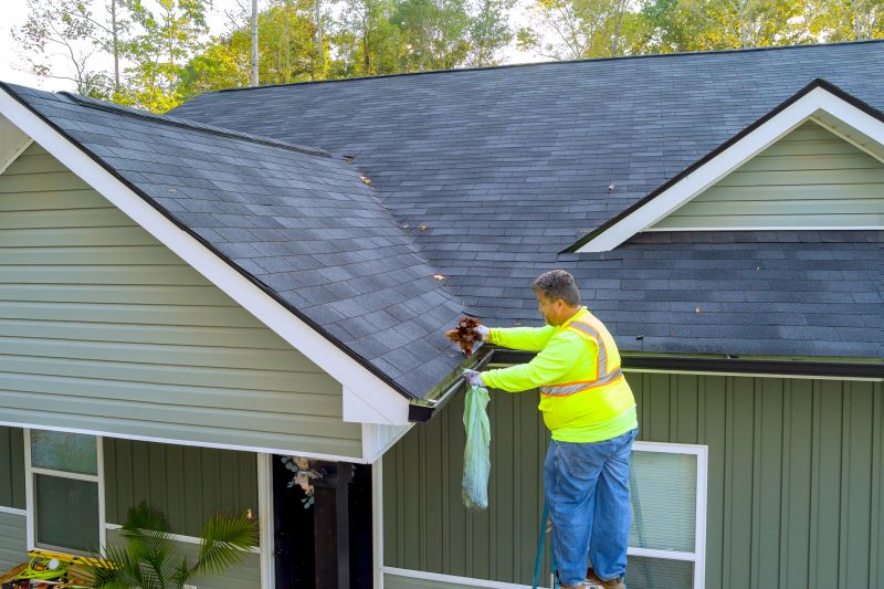 Shingle Roof Cleaning