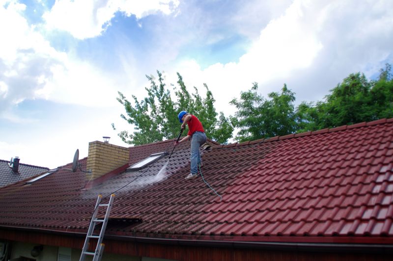 Shingle Roof Washing