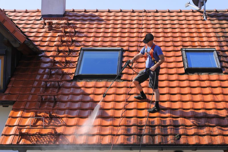 Tile Roof Cleaning