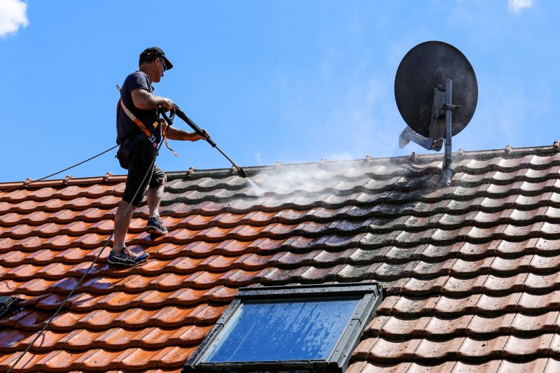 Specialized Roof Cleaning Contractors