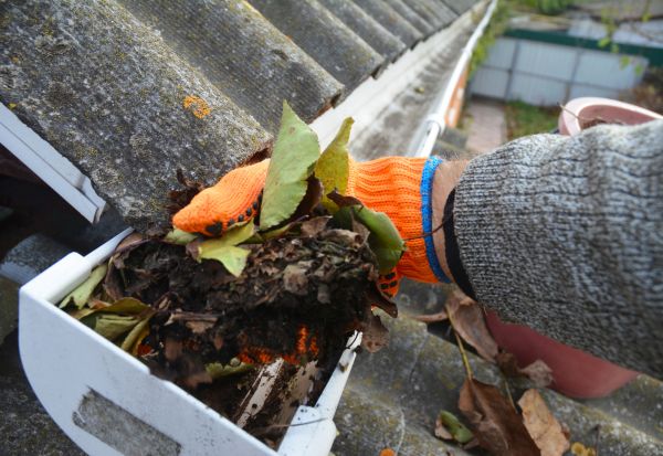 Roof Leaf Removal Service