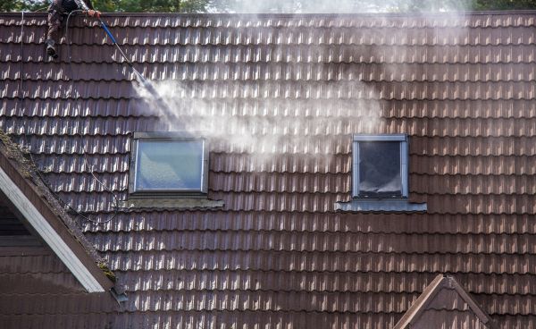 Roof Growth Removal