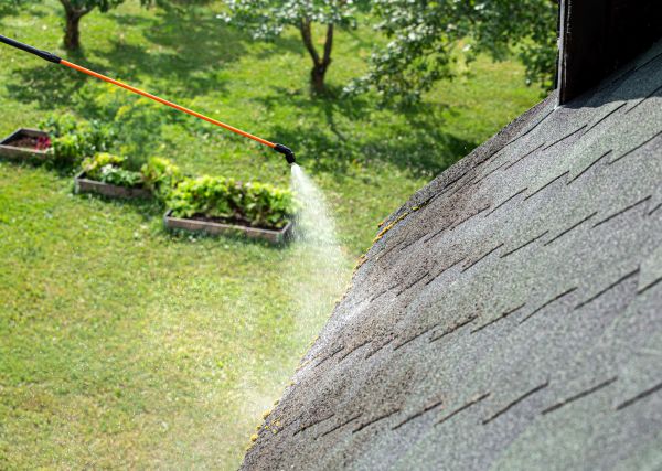 Garage Roof Algae Cleaning
