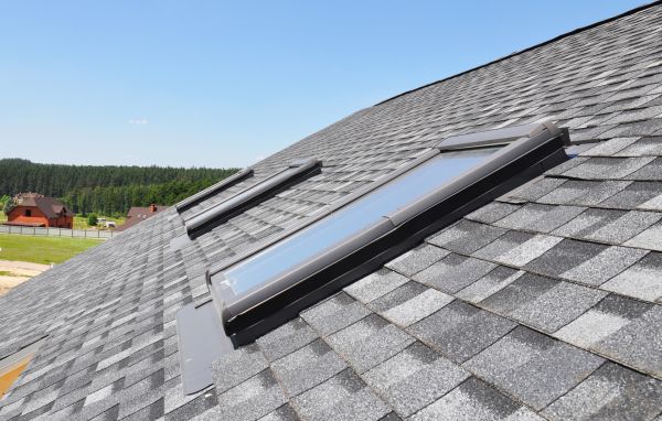 Asphalt Shingles Cleaning Service